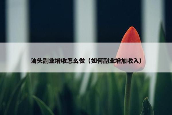 汕头副业增收怎么做（如何副业增加收入）