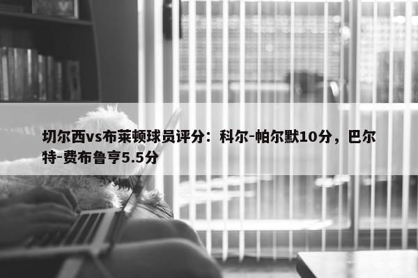 切尔西vs布莱顿球员评分：科尔-帕尔默10分，巴尔特-费布鲁亨5.5分