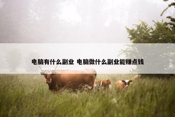 电脑有什么副业 电脑做什么副业能赚点钱