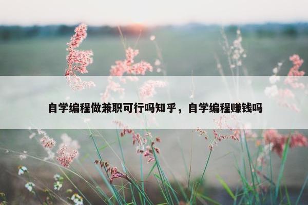 自学编程做兼职可行吗知乎，自学编程赚钱吗