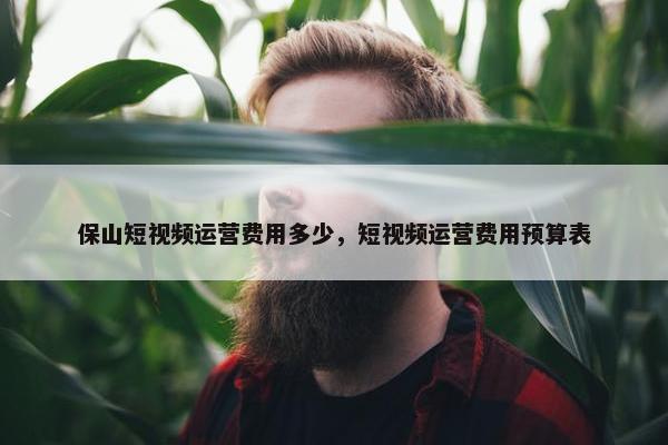 保山短视频运营费用多少，短视频运营费用预算表