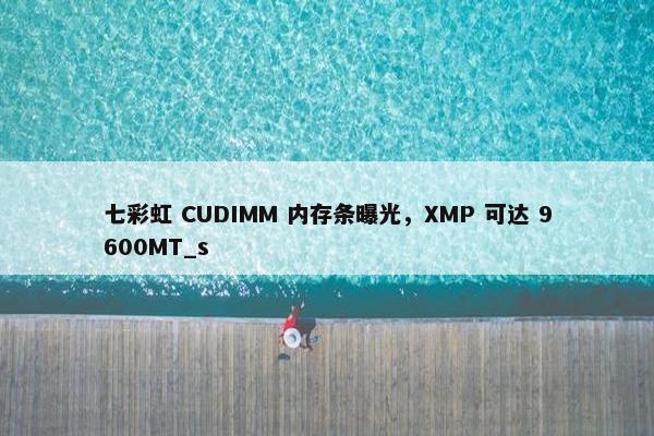 七彩虹 CUDIMM 内存条曝光，XMP 可达 9600MT_s