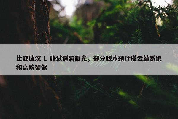 比亚迪汉 L 路试谍照曝光，部分版本预计搭云辇系统和高阶智驾