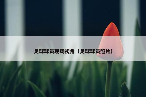 足球球员现场视角（足球球员照片）