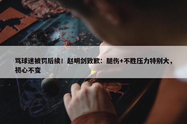 骂球迷被罚后续！赵明剑致歉：腿伤+不胜压力特别大，初心不变