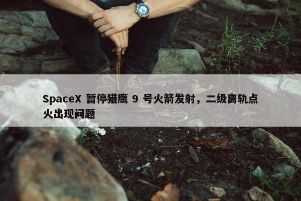 SpaceX 暂停猎鹰 9 号火箭发射，二级离轨点火出现问题