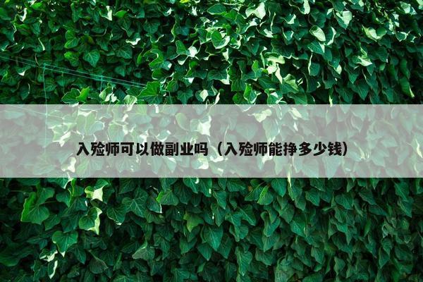 入殓师可以做副业吗（入殓师能挣多少钱）