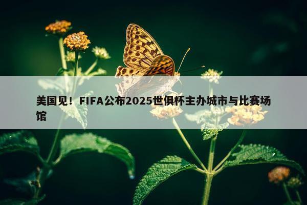 美国见！FIFA公布2025世俱杯主办城市与比赛场馆