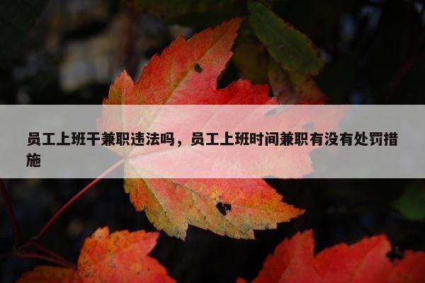 员工上班干兼职违法吗，员工上班时间兼职有没有处罚措施