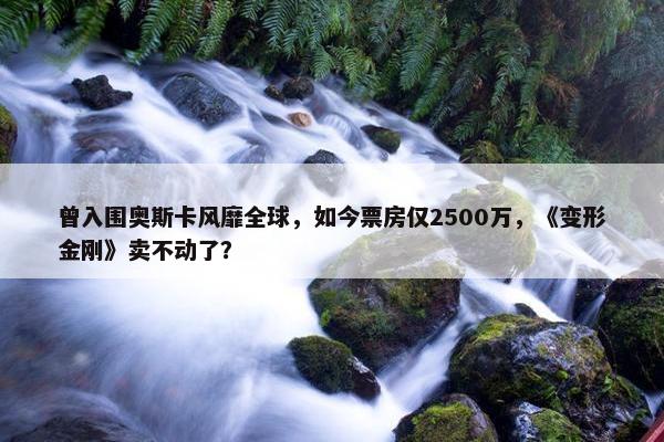 曾入围奥斯卡风靡全球，如今票房仅2500万，《变形金刚》卖不动了？