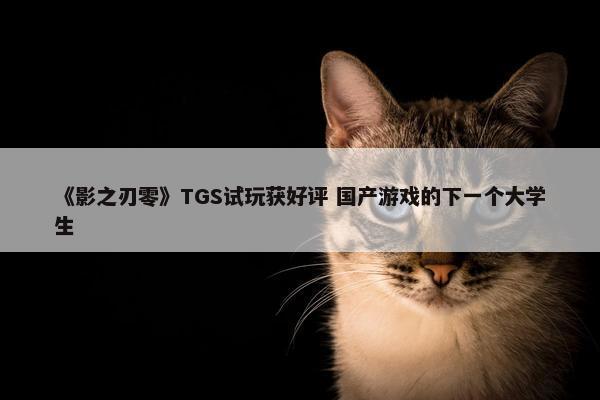 《影之刃零》TGS试玩获好评 国产游戏的下一个大学生