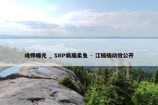 魂师曝光 _ SRP疯魔柔兔 · 江楠楠动效公开