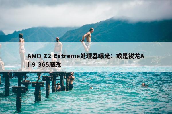 AMD Z2 Extreme处理器曝光：或是锐龙AI 9 365魔改