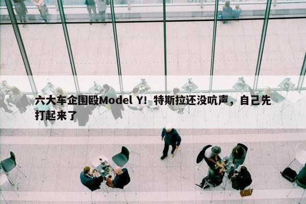 六大车企围殴Model Y！特斯拉还没吭声，自己先打起来了