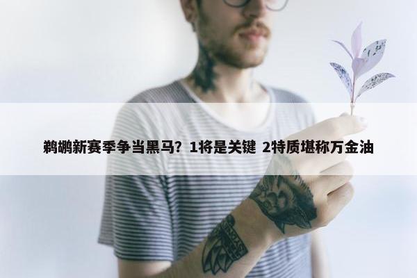 鹈鹕新赛季争当黑马？1将是关键 2特质堪称万金油