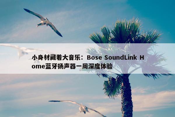 小身材藏着大音乐：Bose SoundLink Home蓝牙扬声器一周深度体验