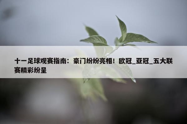 十一足球观赛指南：豪门纷纷亮相！欧冠_亚冠_五大联赛精彩纷呈