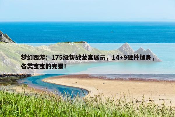 梦幻西游：175级帮战龙宫展示，14+9硬件加身，各类宝宝的克星！