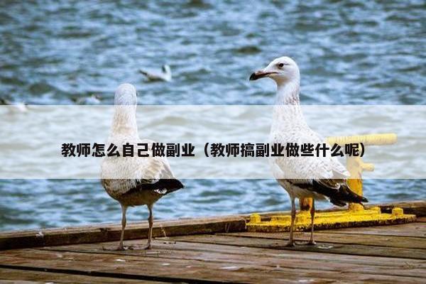 教师怎么自己做副业（教师搞副业做些什么呢）