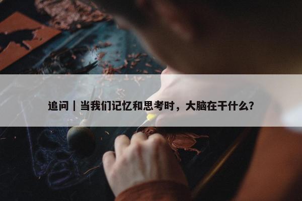 追问｜当我们记忆和思考时，大脑在干什么？