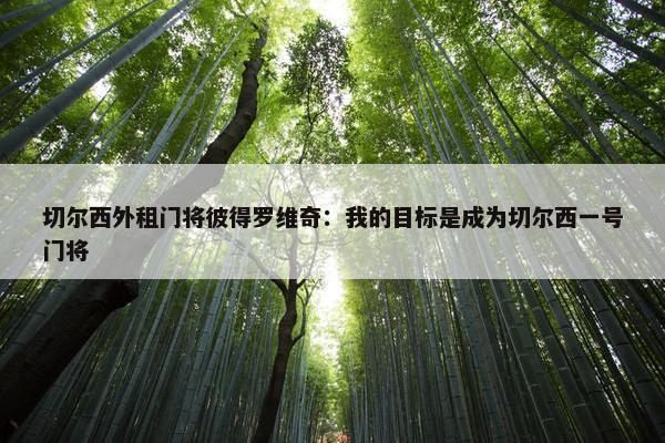 切尔西外租门将彼得罗维奇：我的目标是成为切尔西一号门将