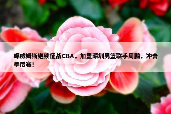 曝威姆斯继续征战CBA，加盟深圳男篮联手周鹏，冲击季后赛！