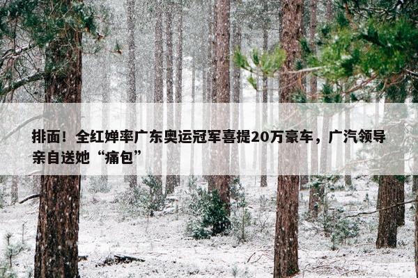 排面！全红婵率广东奥运冠军喜提20万豪车，广汽领导亲自送她“痛包”