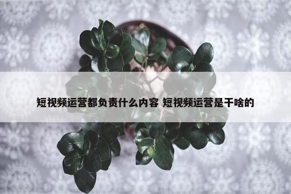 短视频运营都负责什么内容 短视频运营是干啥的