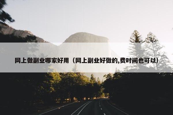 网上做副业哪家好用（网上副业好做的,费时间也可以）