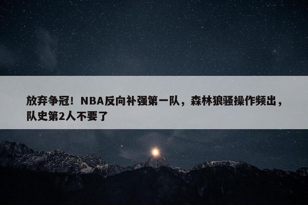 放弃争冠！NBA反向补强第一队，森林狼骚操作频出，队史第2人不要了