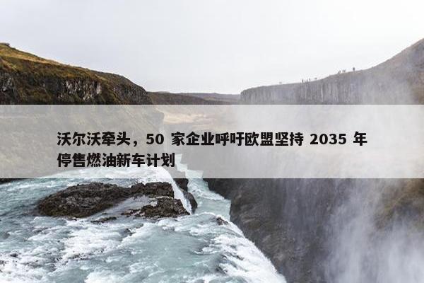 沃尔沃牵头，50 家企业呼吁欧盟坚持 2035 年停售燃油新车计划