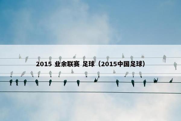 2015 业余联赛 足球（2015中国足球）