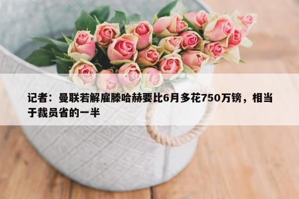 记者：曼联若解雇滕哈赫要比6月多花750万镑，相当于裁员省的一半