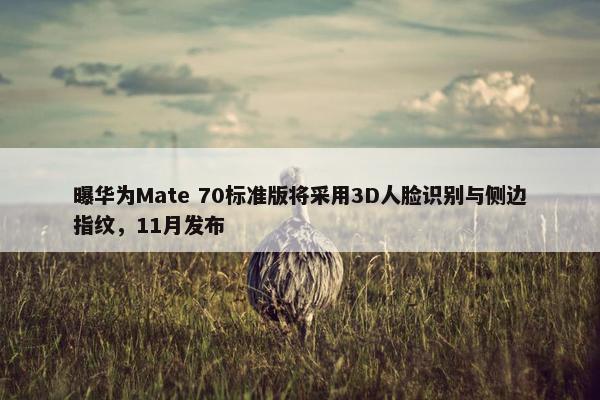 曝华为Mate 70标准版将采用3D人脸识别与侧边指纹，11月发布