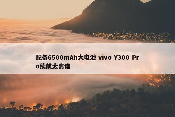 配备6500mAh大电池 vivo Y300 Pro续航太离谱