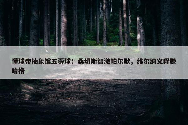 懂球帝抽象馆五孬球：桑切斯智激帕尔默，维尔纳义释滕哈格