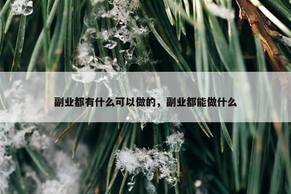 副业都有什么可以做的，副业都能做什么