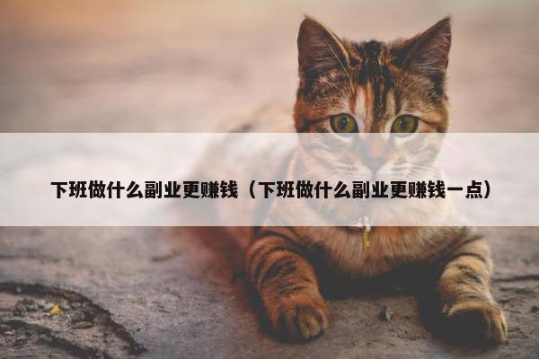 下班做什么副业更赚钱（下班做什么副业更赚钱一点）