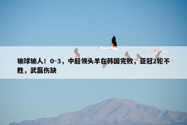 输球输人！0-3，中超领头羊在韩国完败，亚冠2轮不胜，武磊伤缺