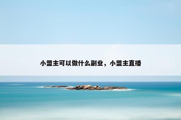 小盟主可以做什么副业，小盟主直播