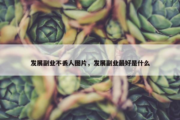 发展副业不丢人图片，发展副业最好是什么