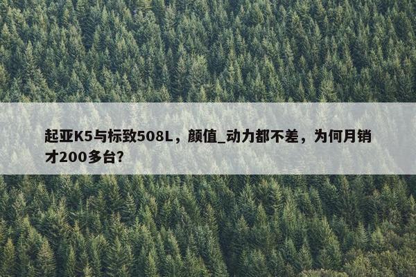 起亚K5与标致508L，颜值_动力都不差，为何月销才200多台？