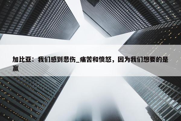 加比亚：我们感到悲伤_痛苦和愤怒，因为我们想要的是赢