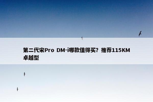 第二代宋Pro DM-i哪款值得买？推荐115KM卓越型