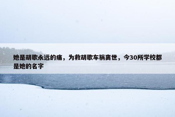 她是胡歌永远的痛，为救胡歌车祸离世，今30所学校都是她的名字