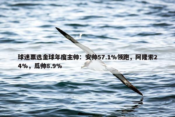 球迷票选金球年度主帅：安帅57.1%领跑，阿隆索24%，瓜帅8.9%