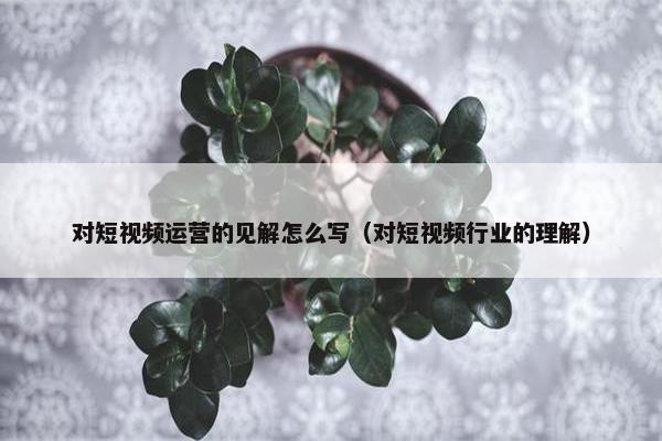 对短视频运营的见解怎么写（对短视频行业的理解）