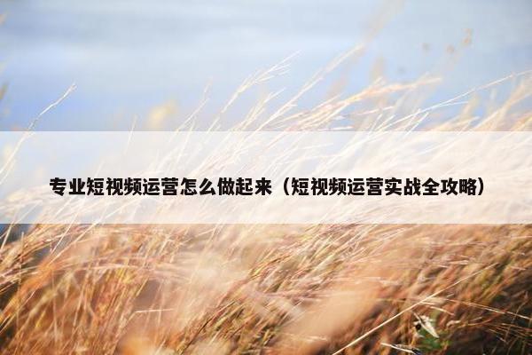 专业短视频运营怎么做起来（短视频运营实战全攻略）