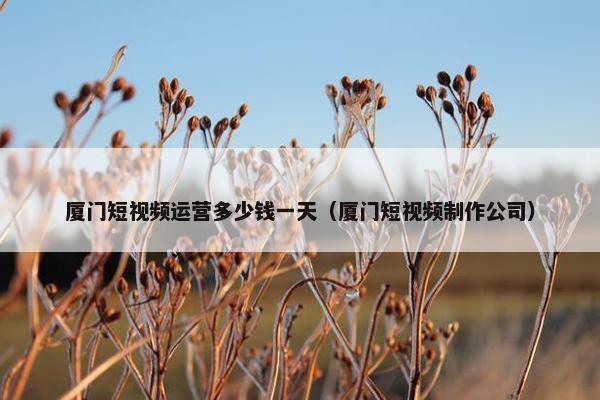 厦门短视频运营多少钱一天（厦门短视频制作公司）