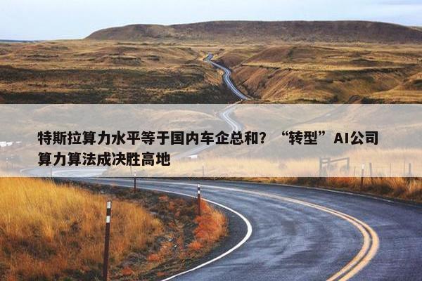 特斯拉算力水平等于国内车企总和？“转型”AI公司 算力算法成决胜高地